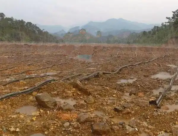 El paper del cianur de sodi a la mineria: una anàlisi en profunditat