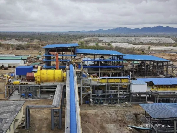 Awọn ohun elo ati pataki ti iṣuu soda Cyanide ni Ṣiṣeto nkan ti o wa ni erupe ile