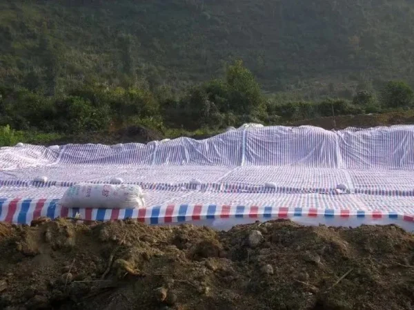 Shan Hab Oo Lagu Wanaajiyo Saamaynta Taallada Dahabka Ah