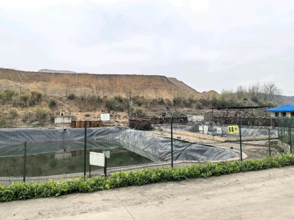 A quins problemes s'ha de prestar atenció quan es manipula el cianur de sodi?