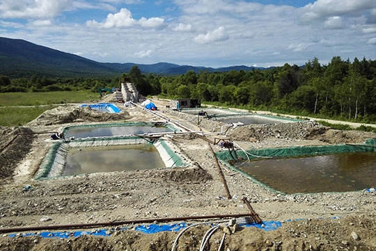 Цианидын натрийн үр ашгийг НӨАТ-аар уусгахад оновчтой болгох