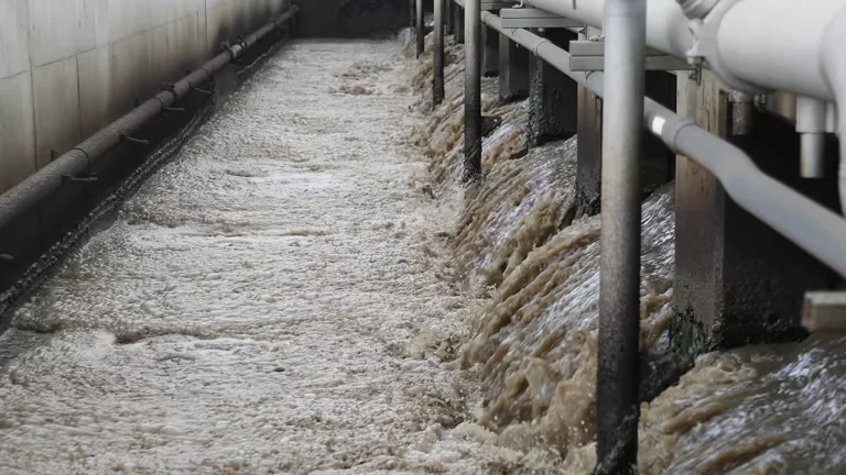 Kalafo ea Metsi: Quicklime kapa Hydrated Lime - Ke Efe e Betere?