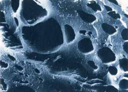 Activated Carbon Adsorption